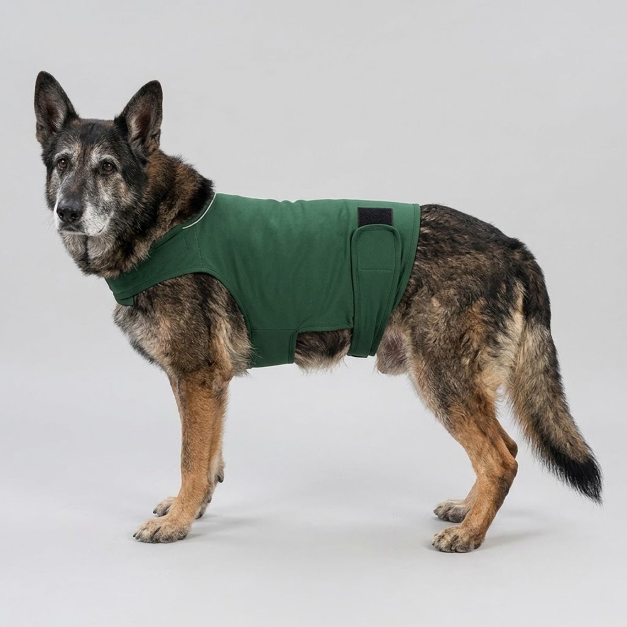 Natural Calming Vest for Dogs | Anti-Anxiety Pressure Wrap