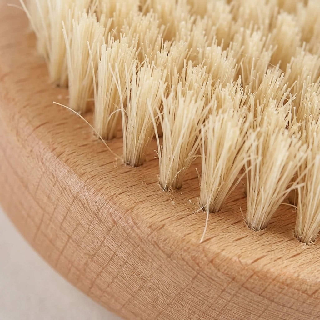 Natural Boar Bristle Dog Brush | Gentle Grooming for Sensitive Skin
