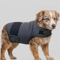 Natural Calming Vest for Dogs | Anti-Anxiety Pressure Wrap