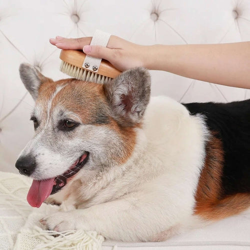 Natural Boar Bristle Dog Brush | Gentle Grooming for Sensitive Skin